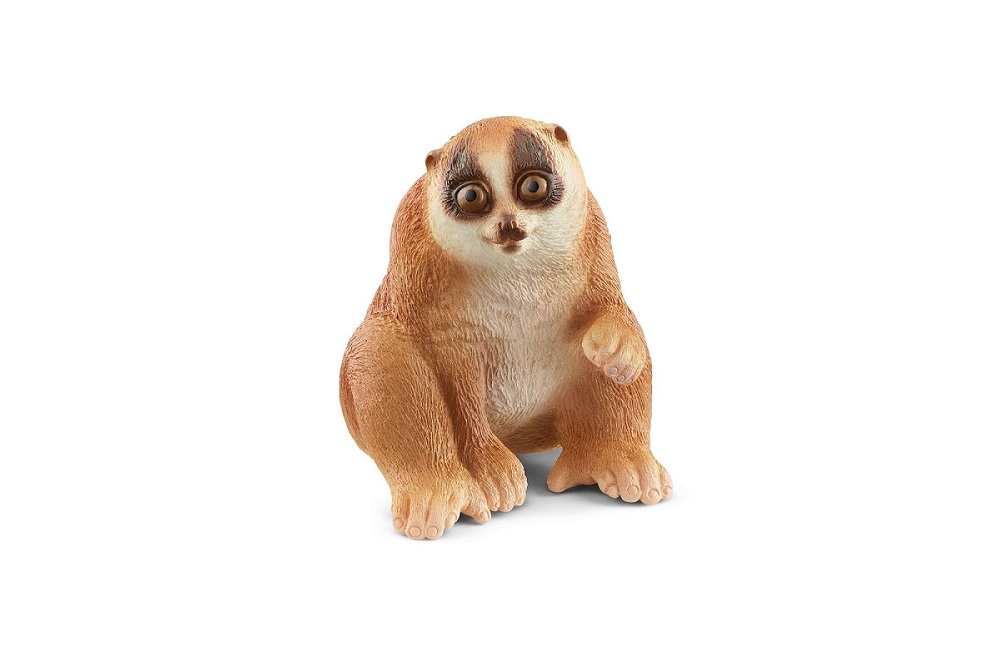 SLOW LORIS